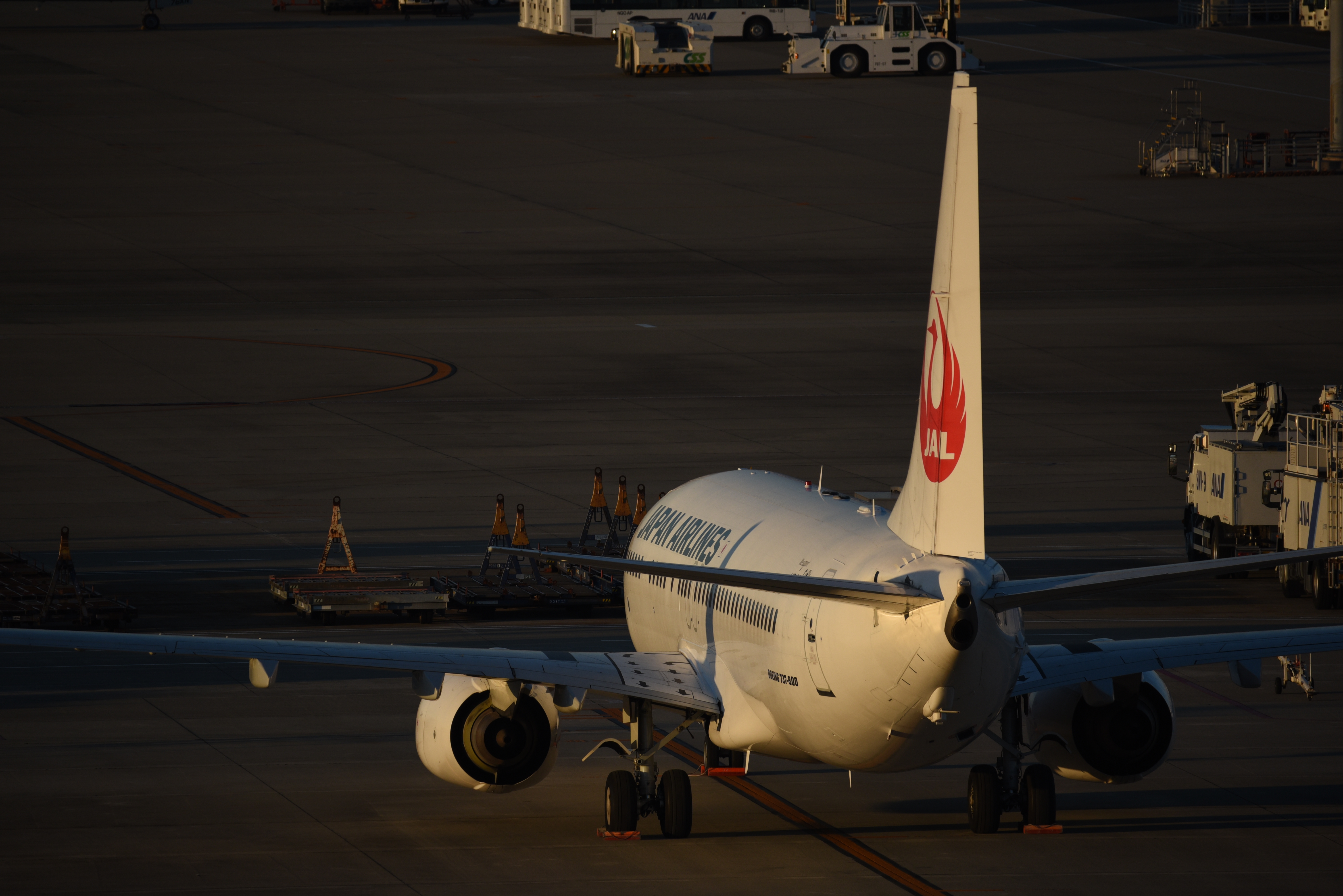 60-600mm F4.5-6.3 DG OS HSM [ニコン用]