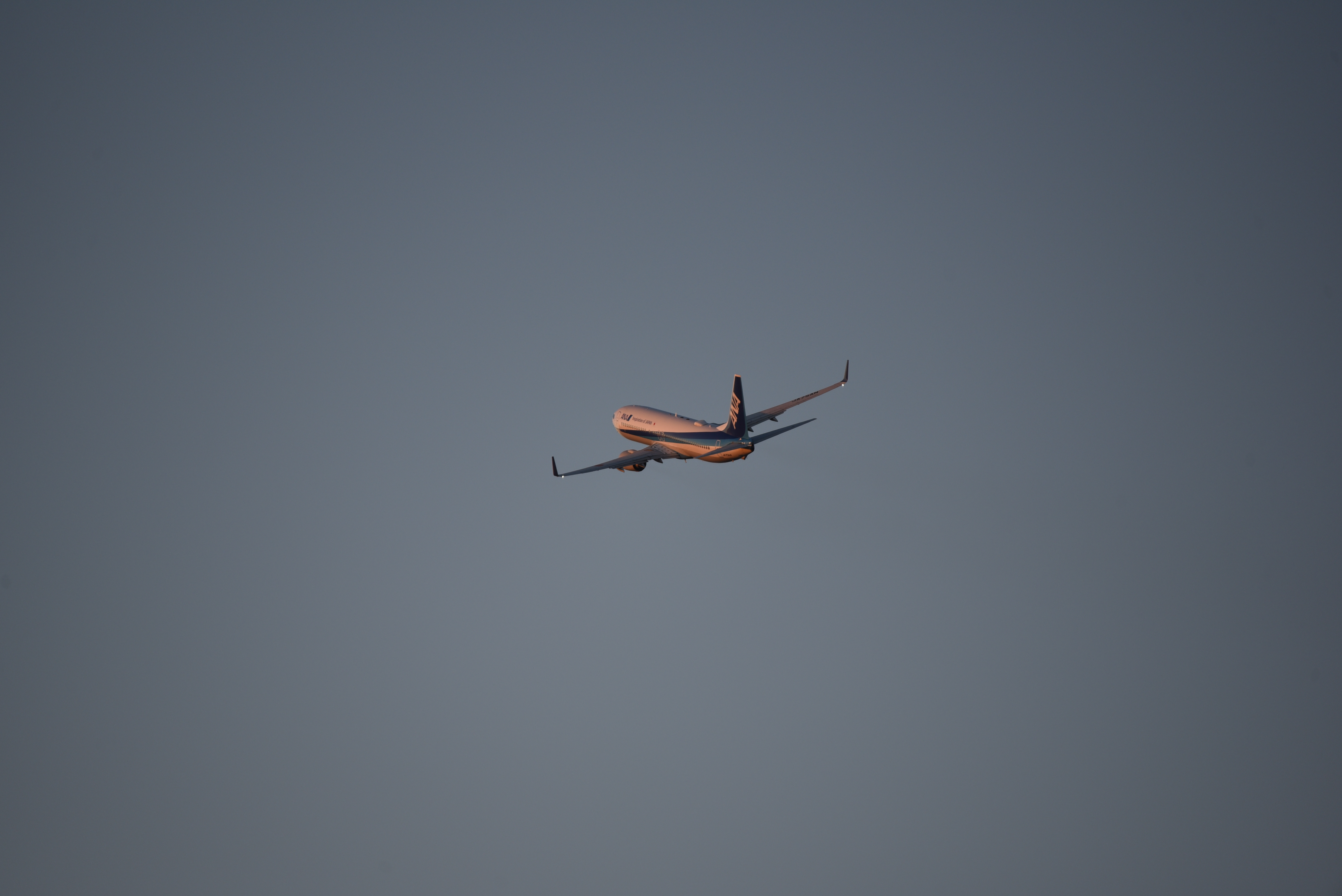 60-600mm F4.5-6.3 DG OS HSM [ニコン用]