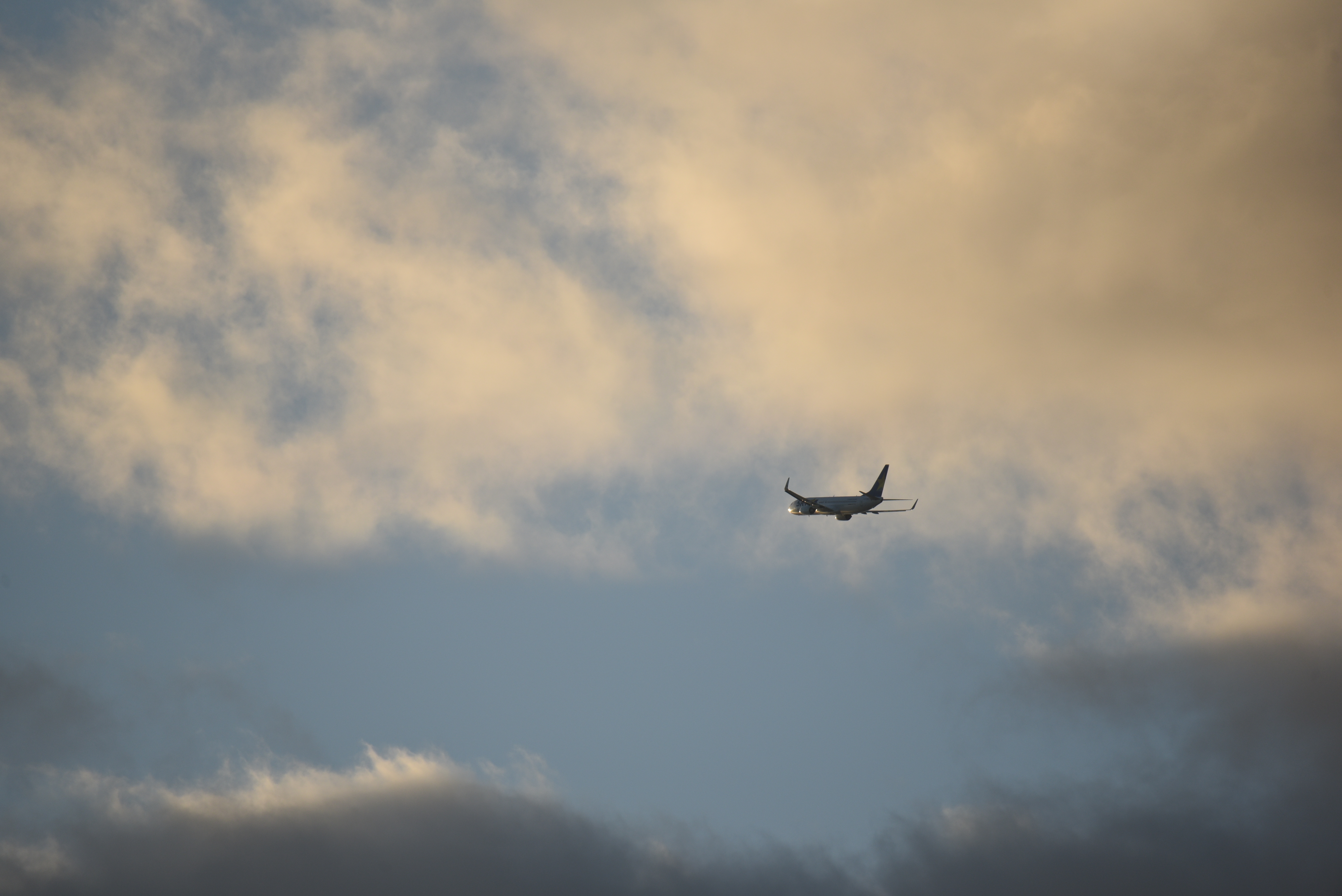 60-600mm F4.5-6.3 DG OS HSM [ニコン用]