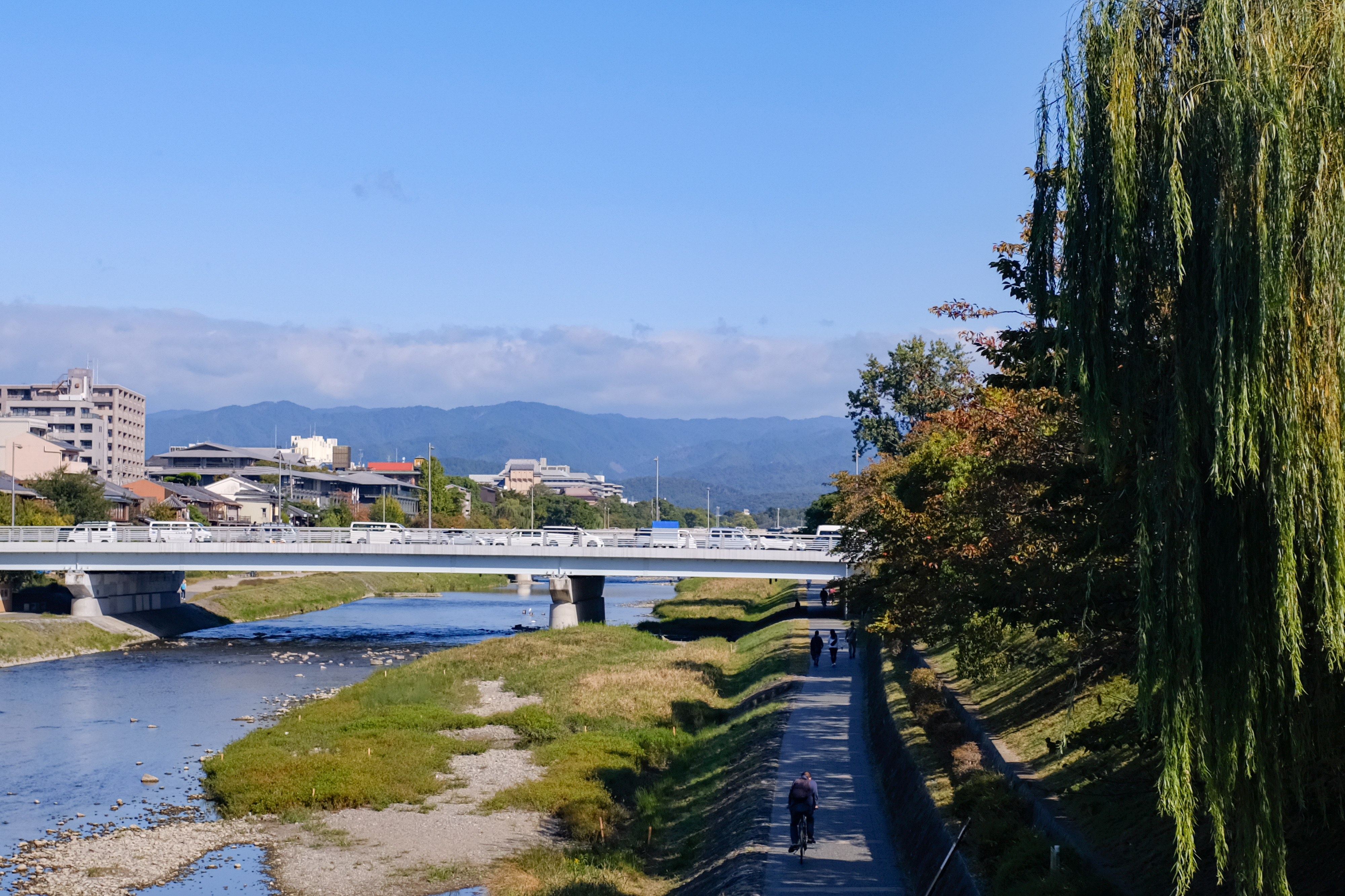 X100F [シルバー]