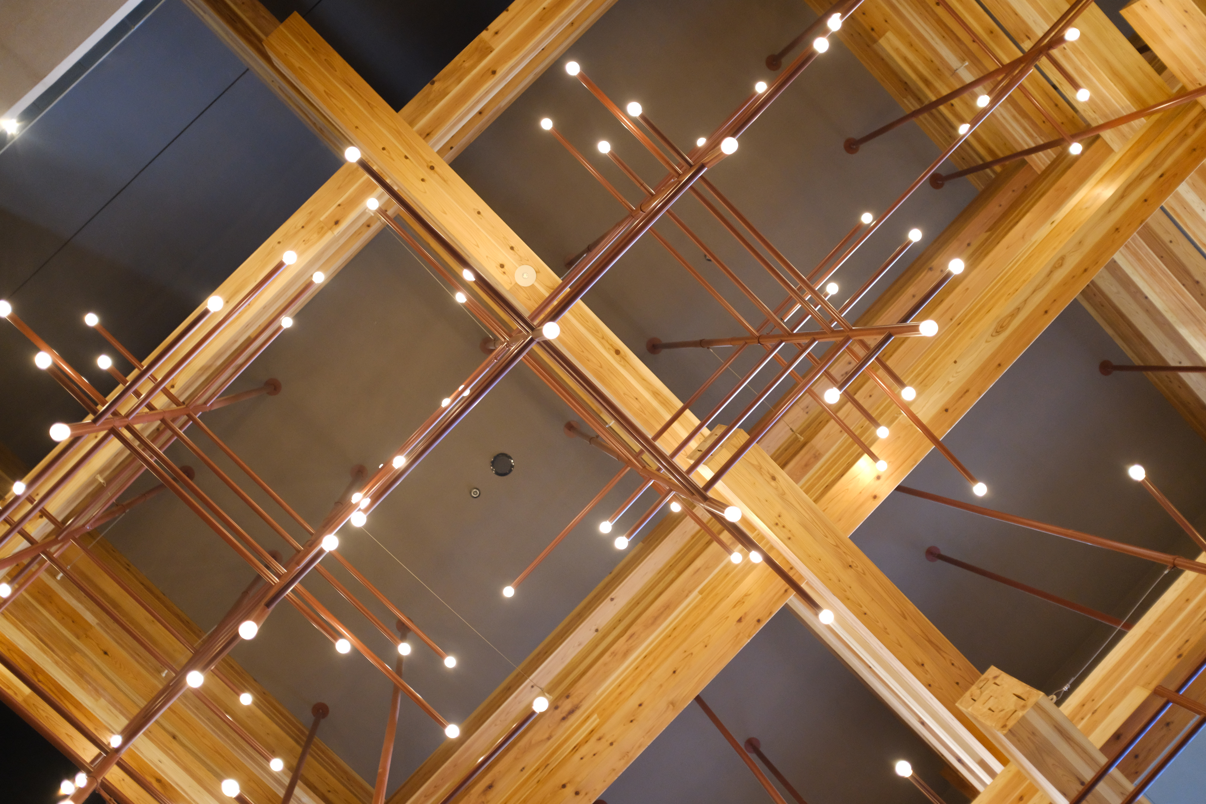 X100F [シルバー]