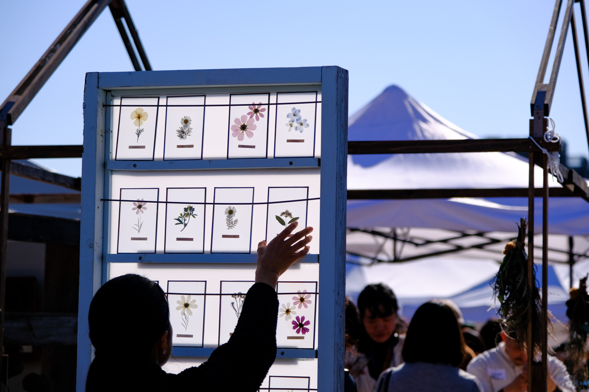 フジノンレンズ XF16-80mmF4 R OIS WR