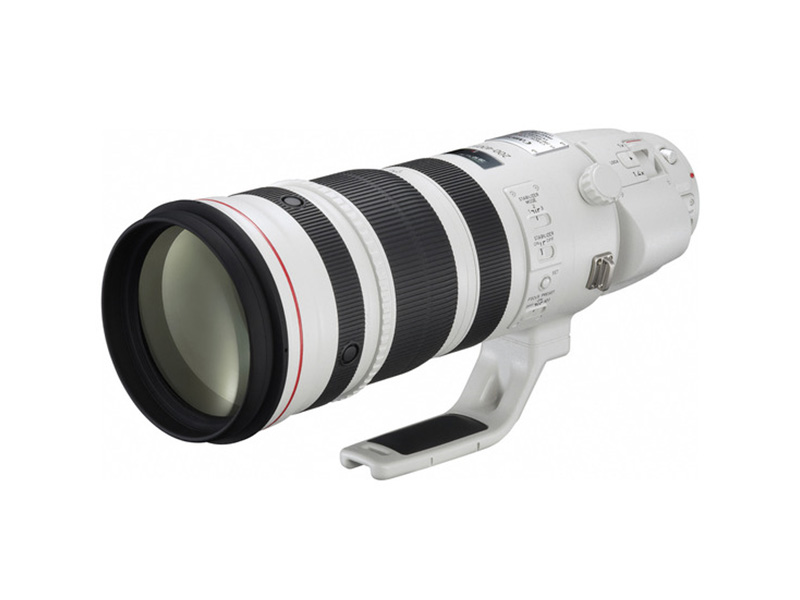 EF200-400mm F4L IS USM エクステンダー 1.4×