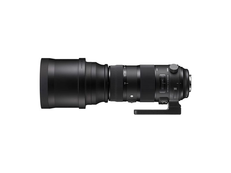 150-600mm F5-6.3 DG OS HSM Sports [キヤノン用]
