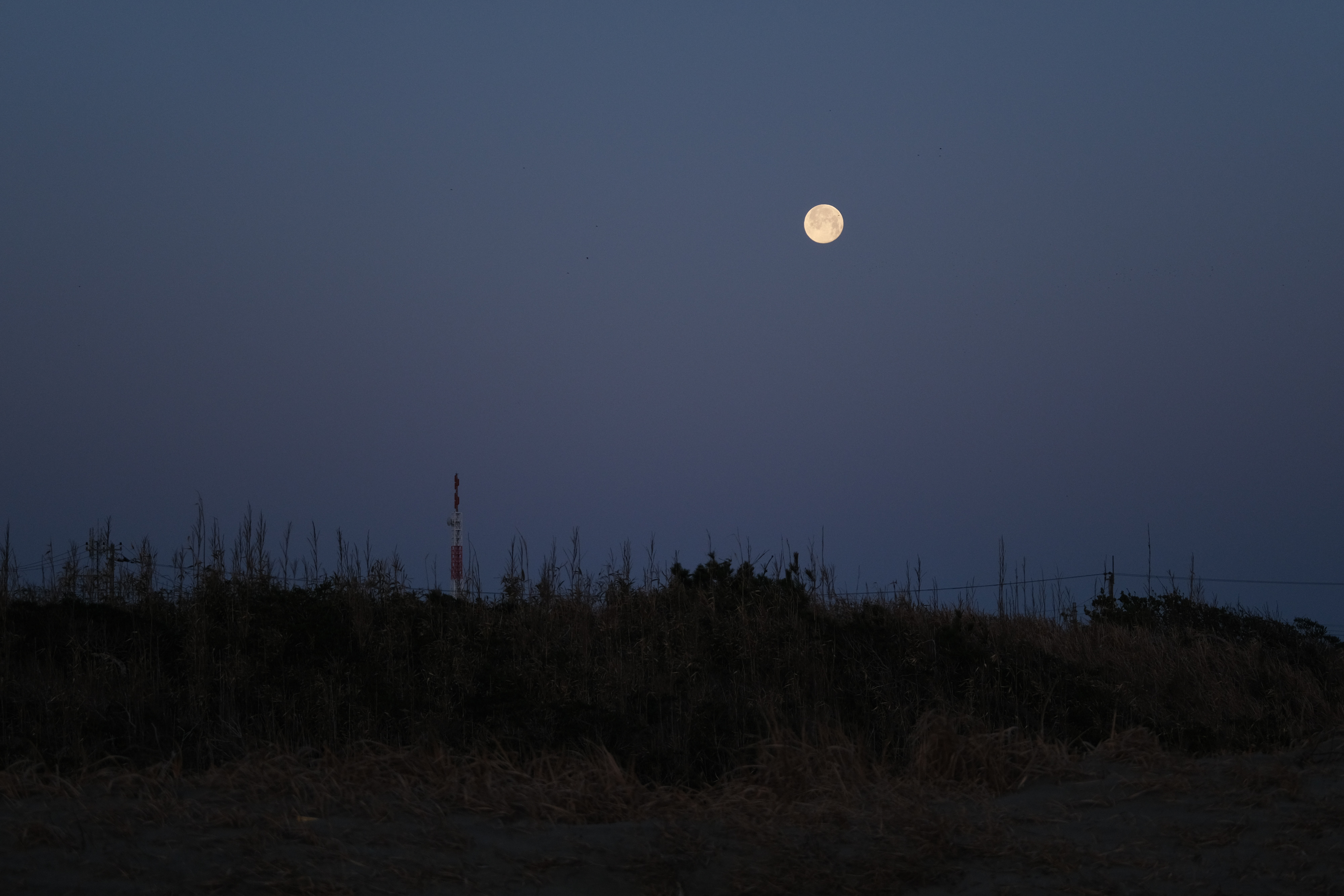 フジノン テレコンバーター XF1.4X TC WR