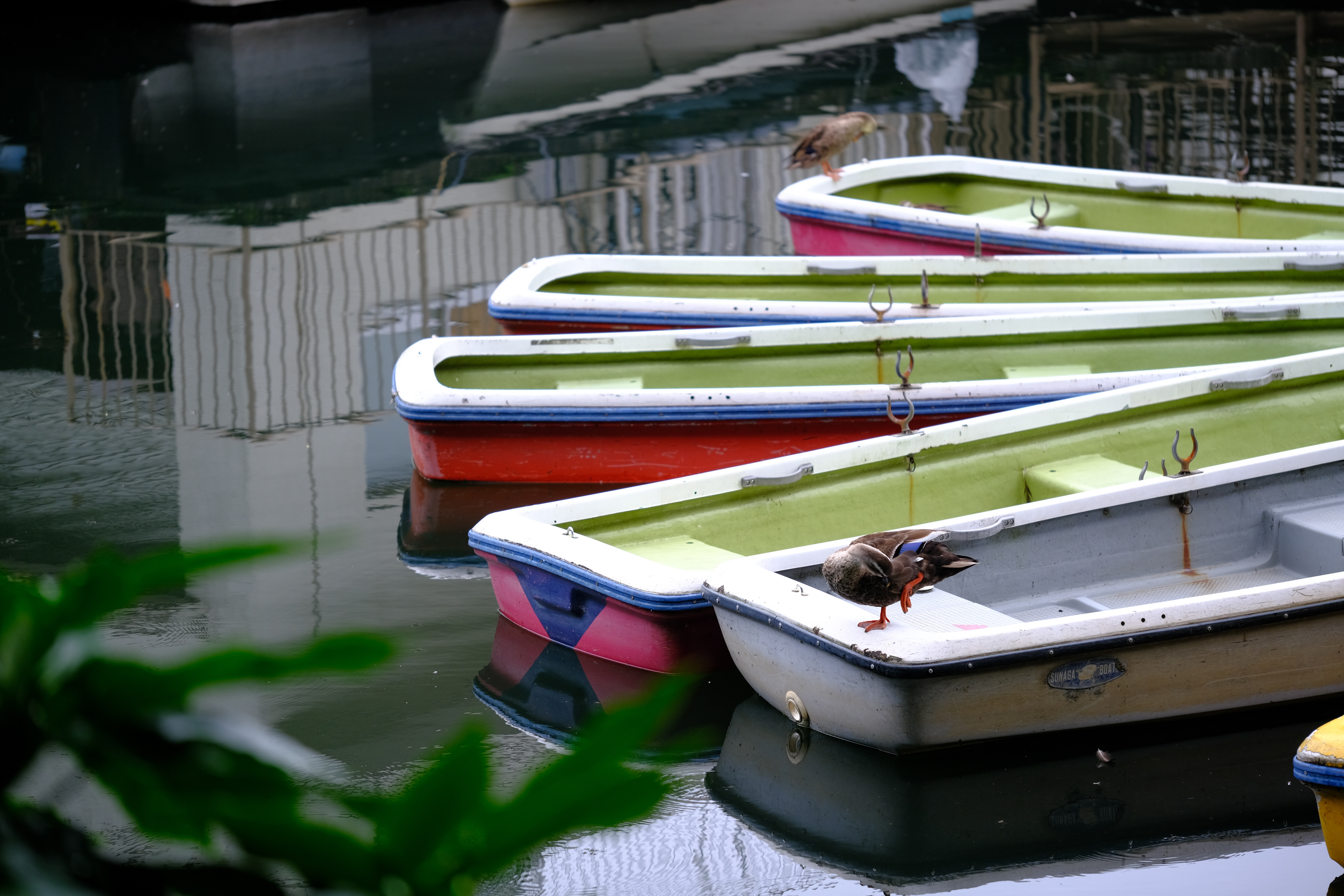 X-T3 ボディ [ブラック]