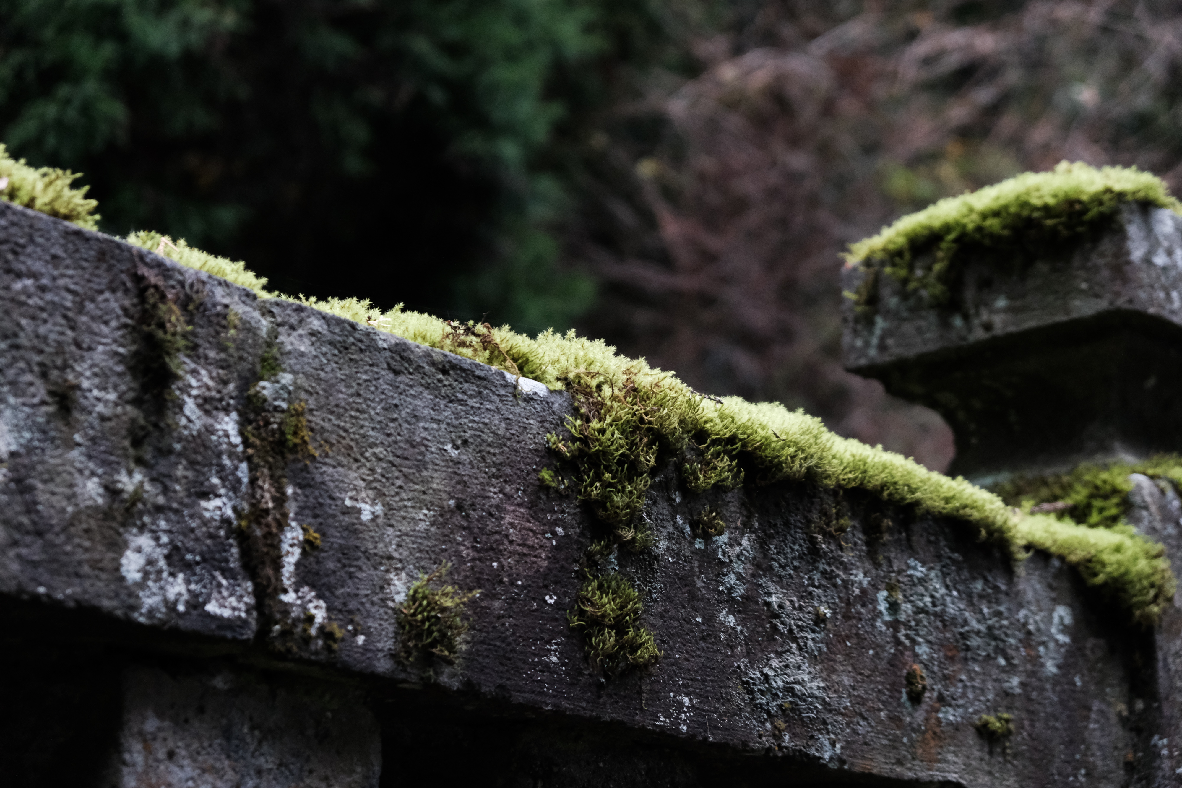 X-T3 ボディ [シルバー]