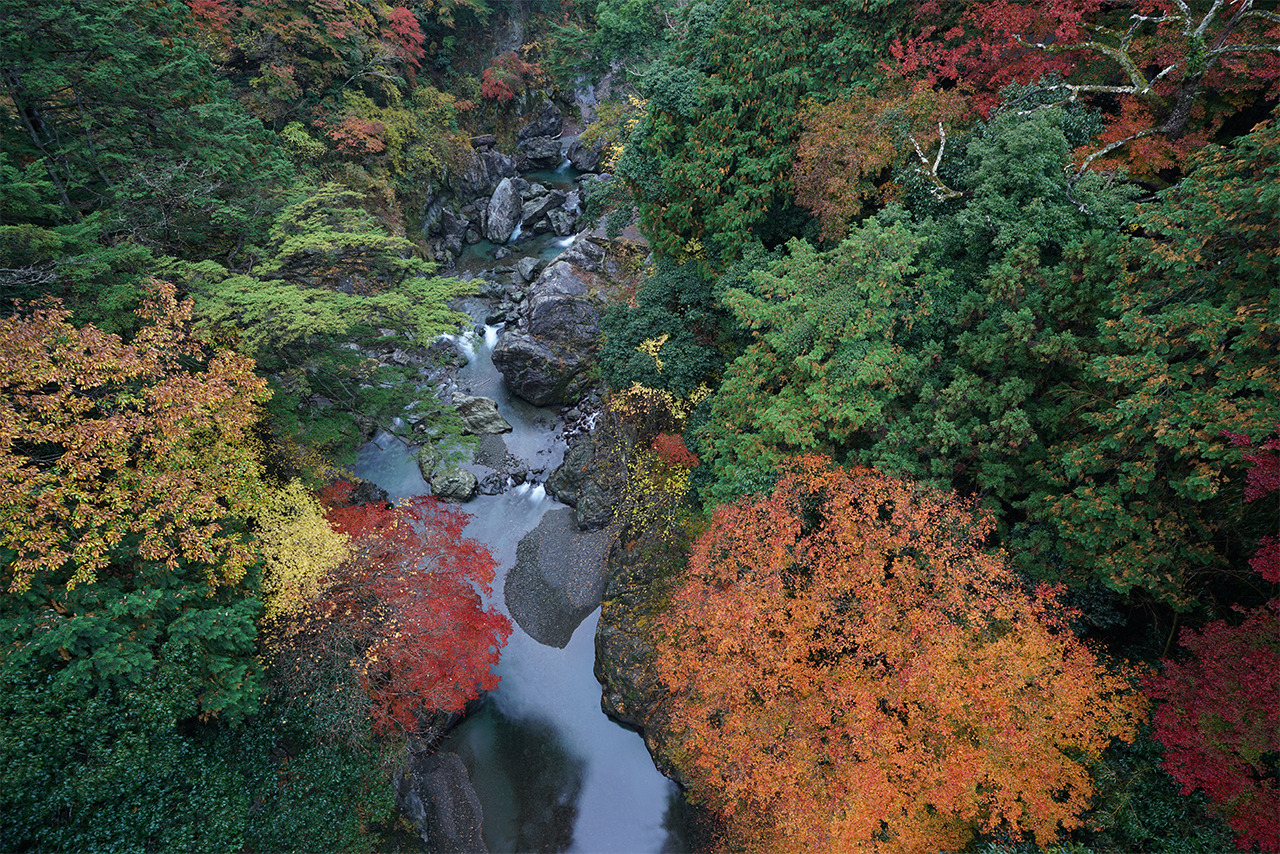 FE 16-35mm F2.8 GM SEL1635GM