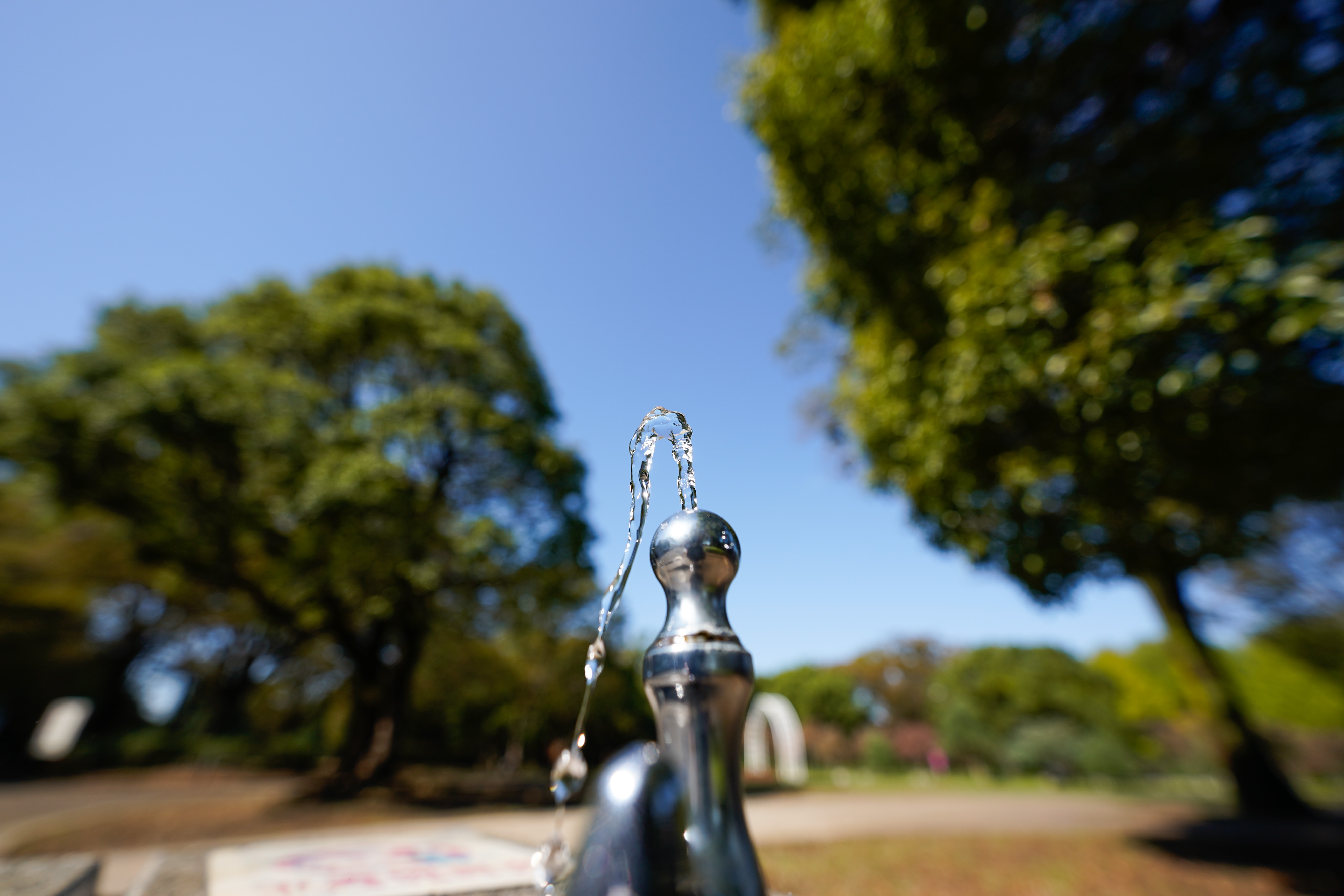 14-24mm F2.8 DG DN [ソニーE用]