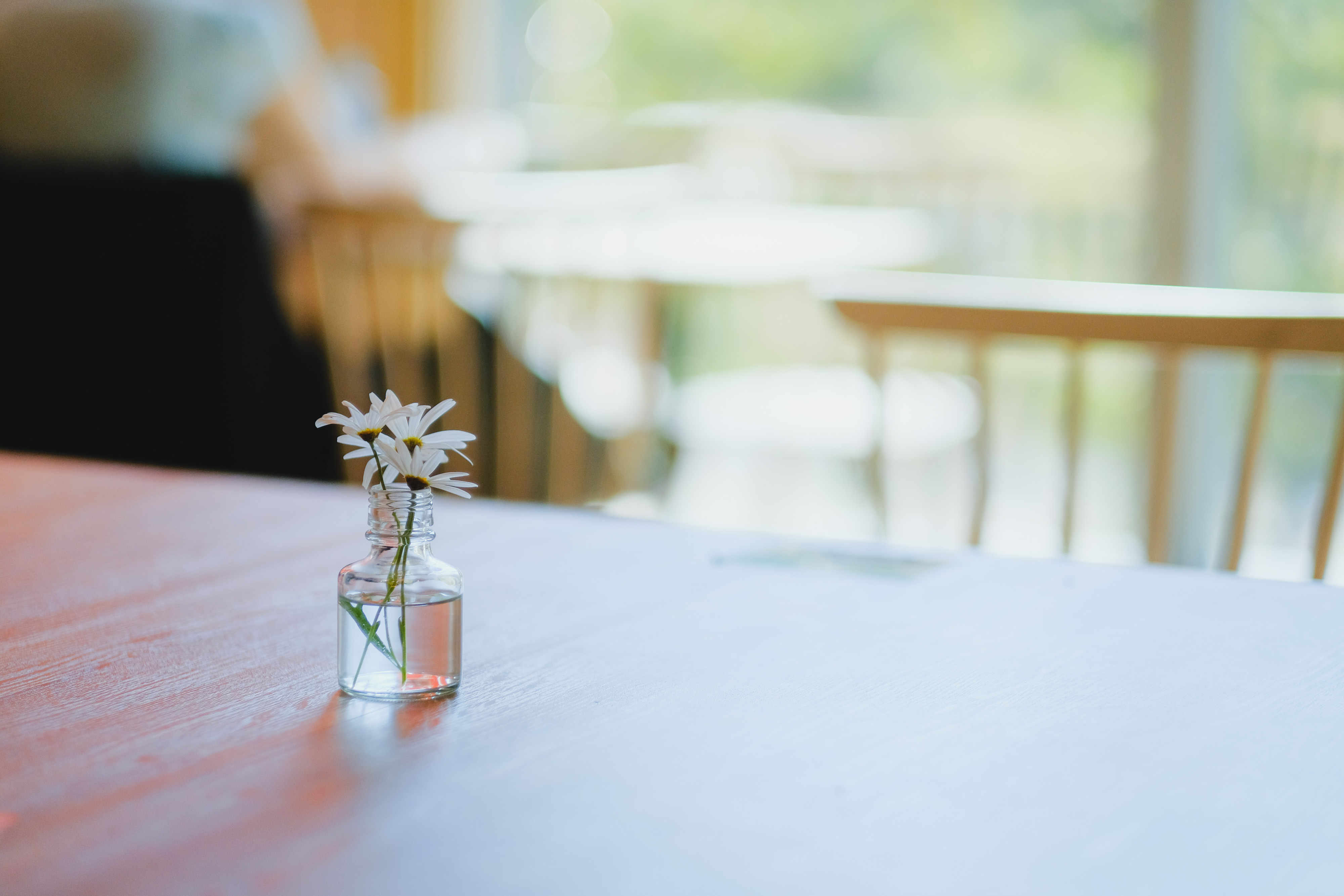 フジノンレンズ XF56mmF1.2 R