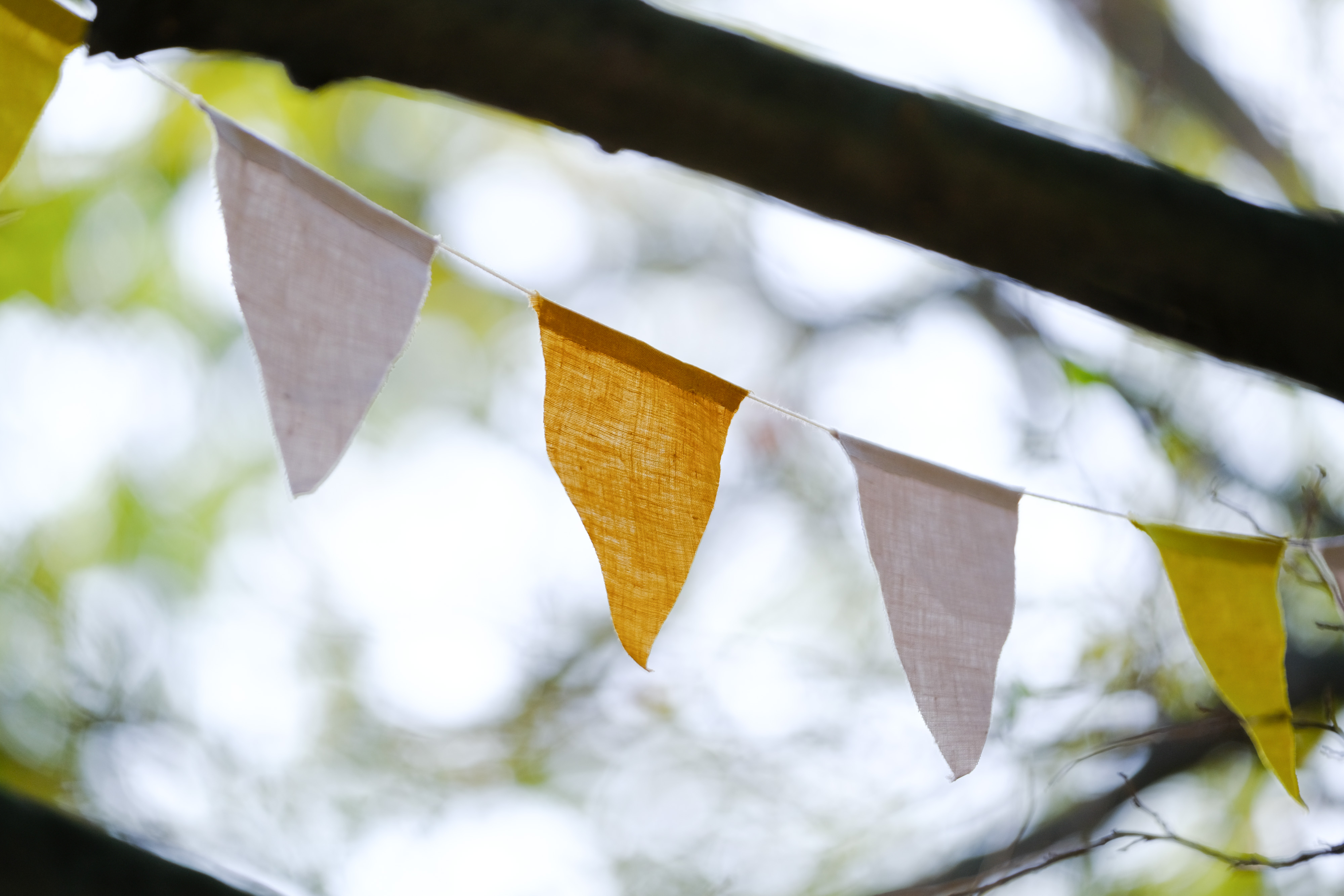 フジノンレンズ XF50-140mmF2.8 R LM OIS WR