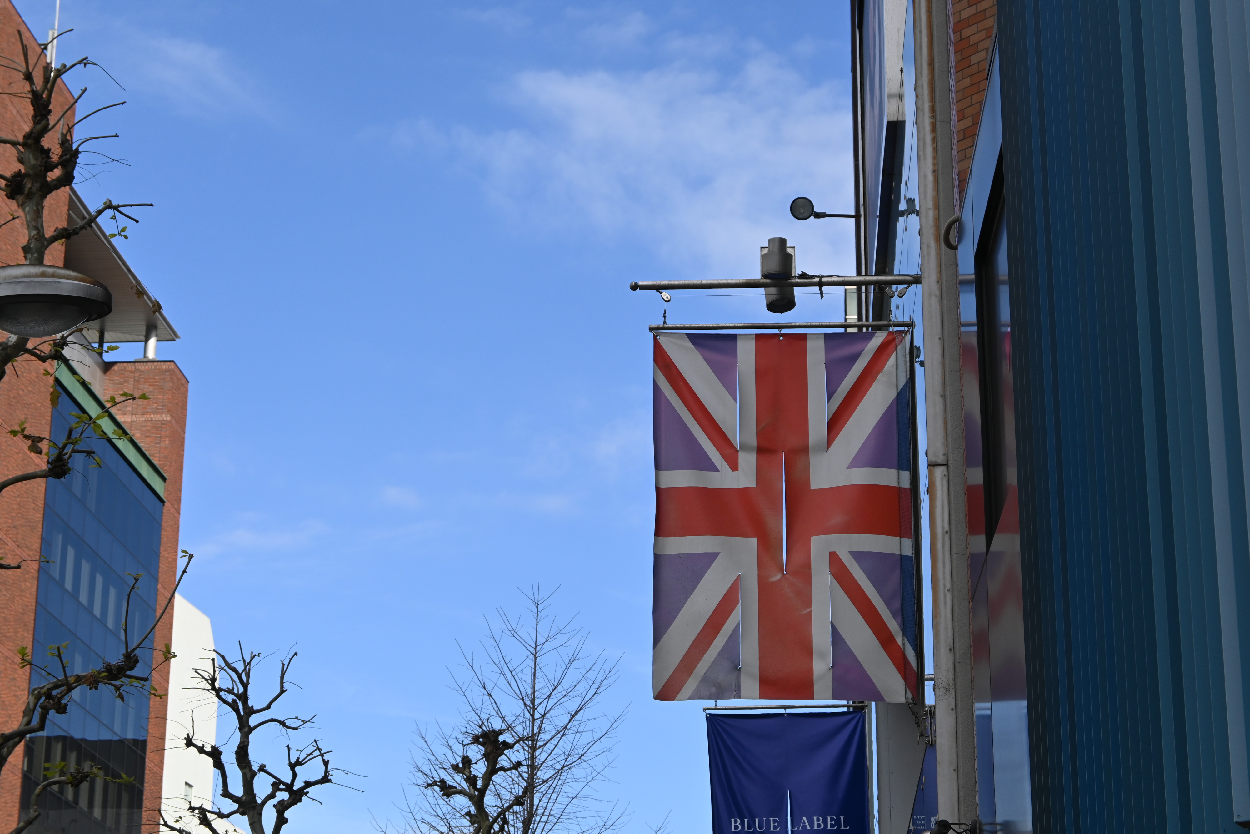 Z 50 16-50 VR レンズキット