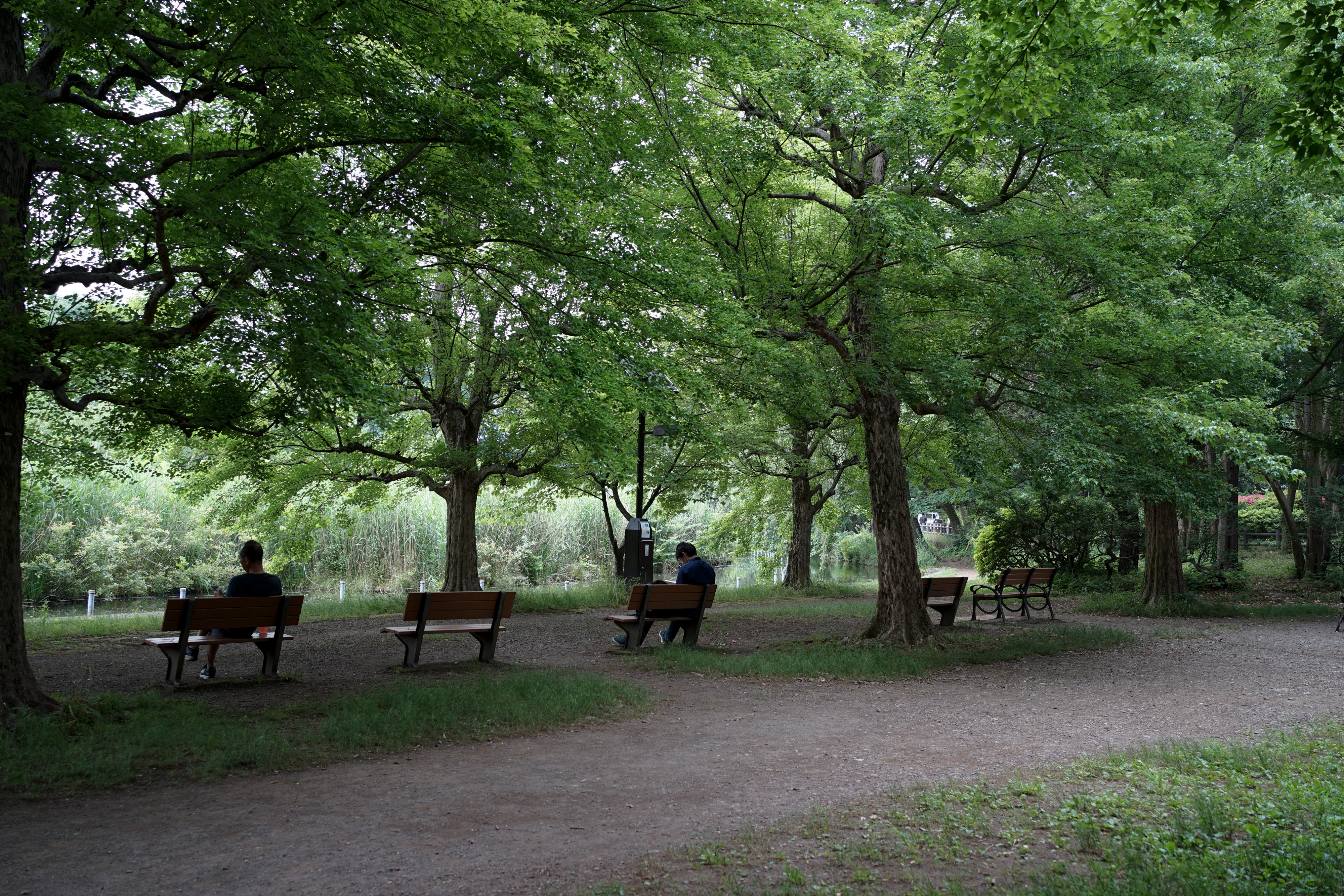 SONY フルサイズミラーレス×単焦点スナップ撮影デビューセット α7 + FE 35mm F1.8