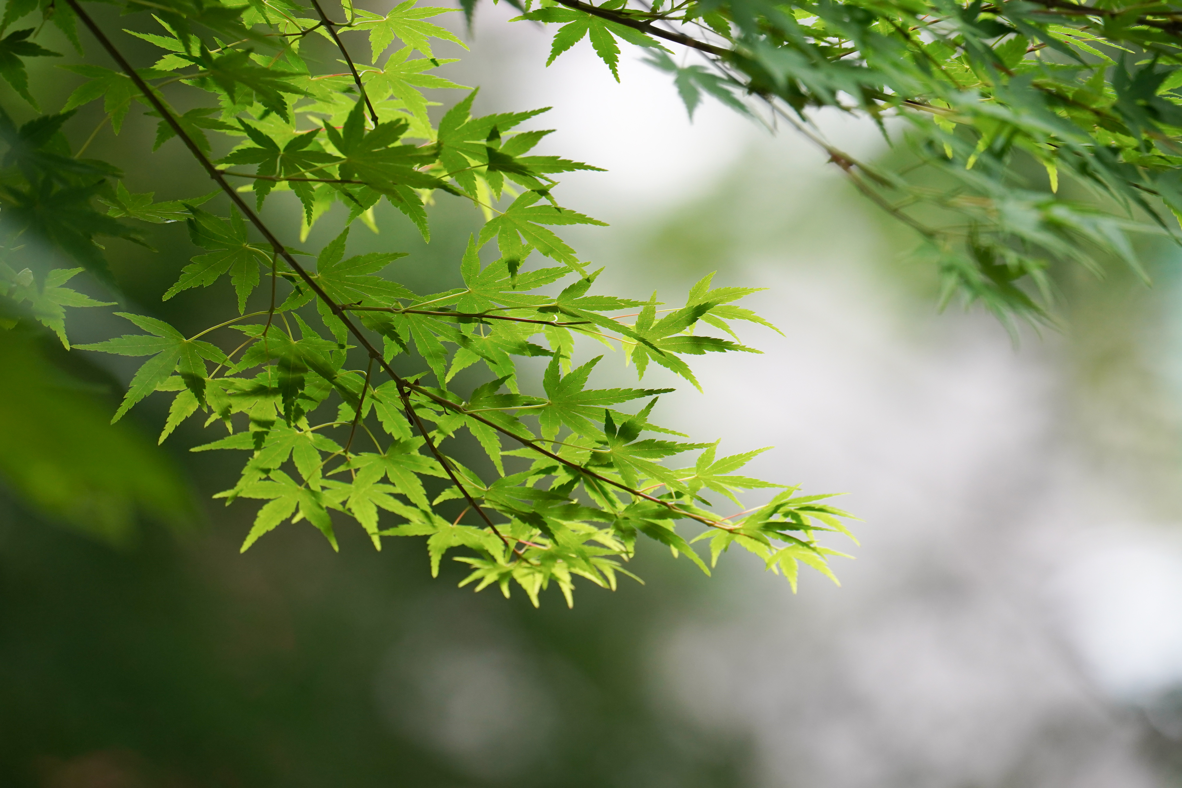 150-500mm F/5-6.7 Di III VC VXD (Model A057)