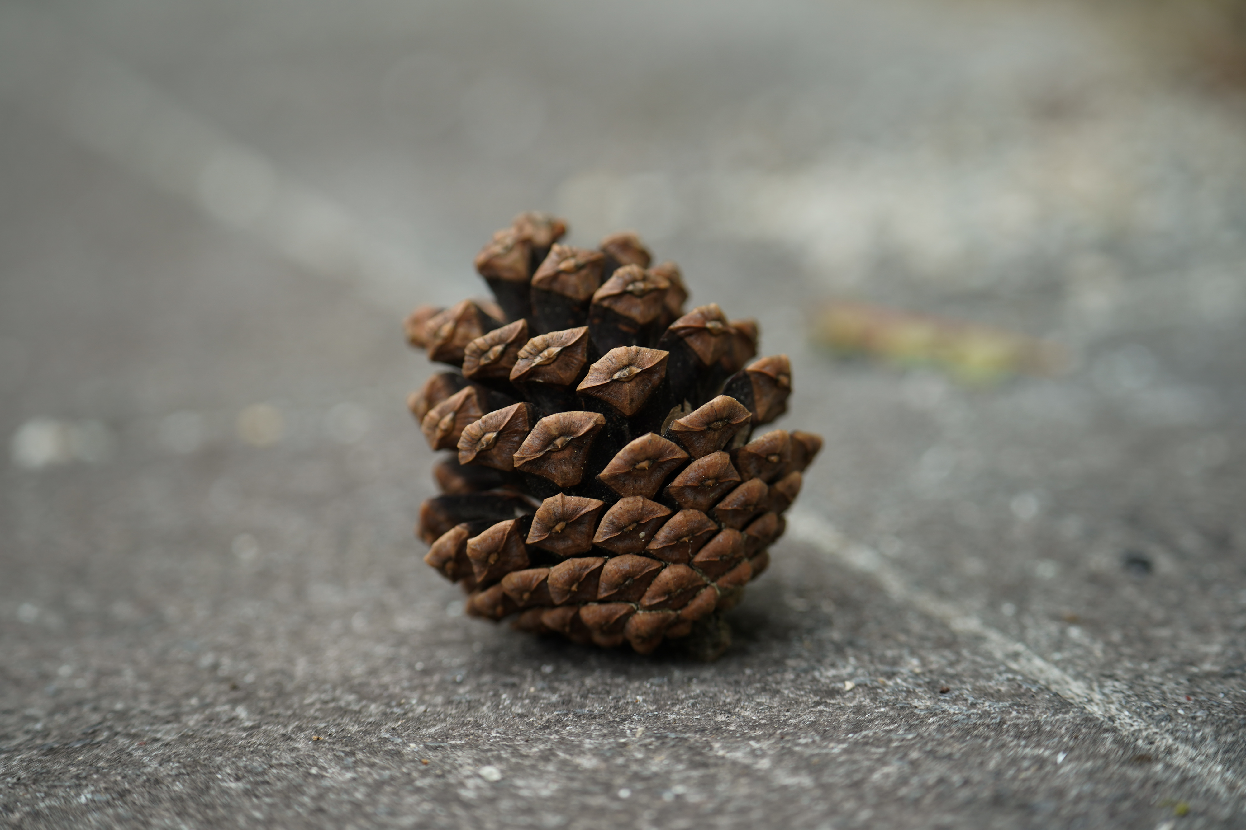 150-500mm F/5-6.7 Di III VC VXD (Model A057)