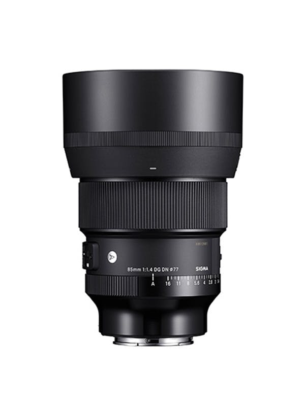 85mm F1.4 DG DN [ソニーE用]