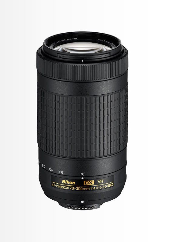 AF-P DX NIKKOR 70-300mm f/4.5-6.3G ED VR