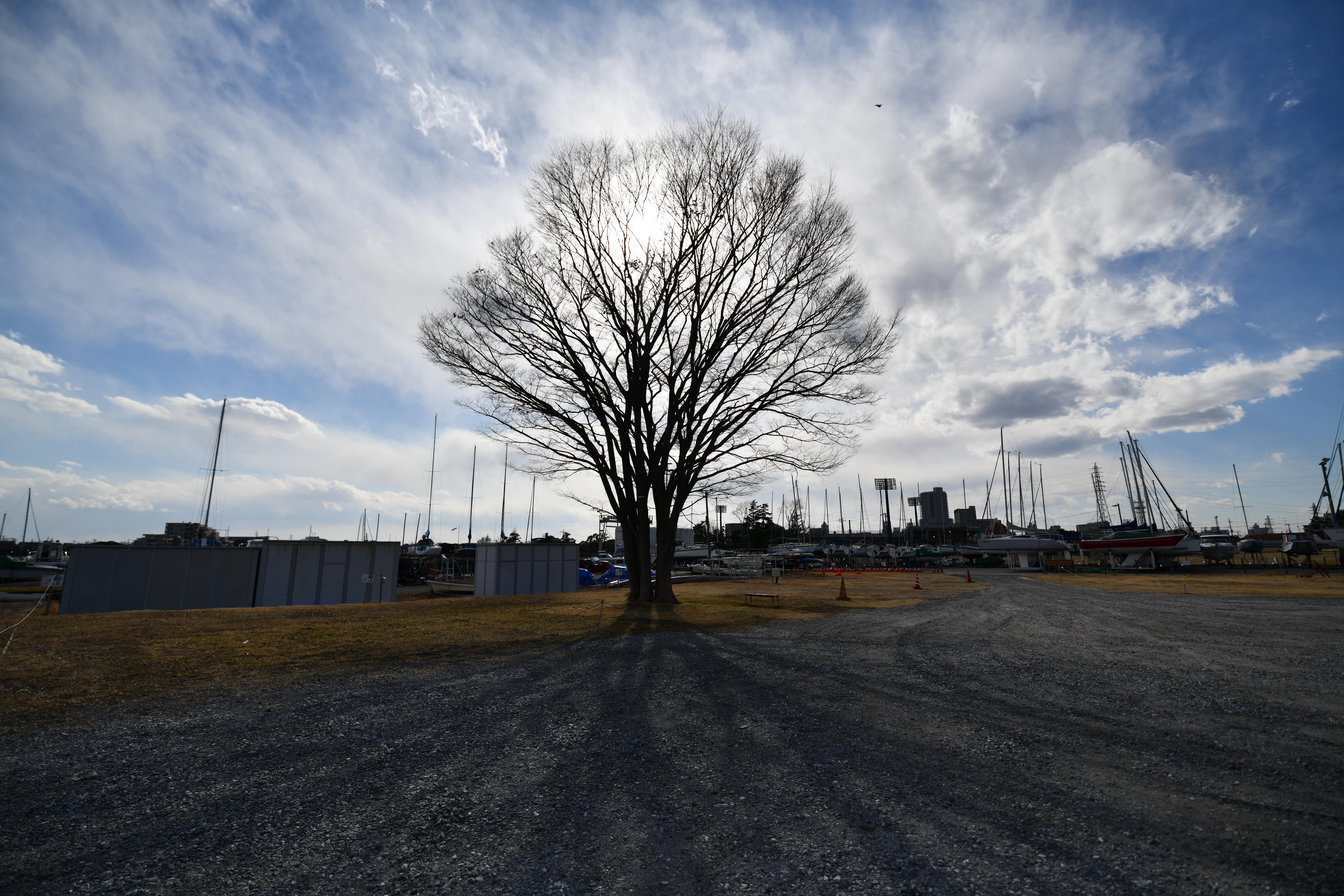 SP 15-30mm F/2.8 Di VC USD (Model A012) [ニコン用]