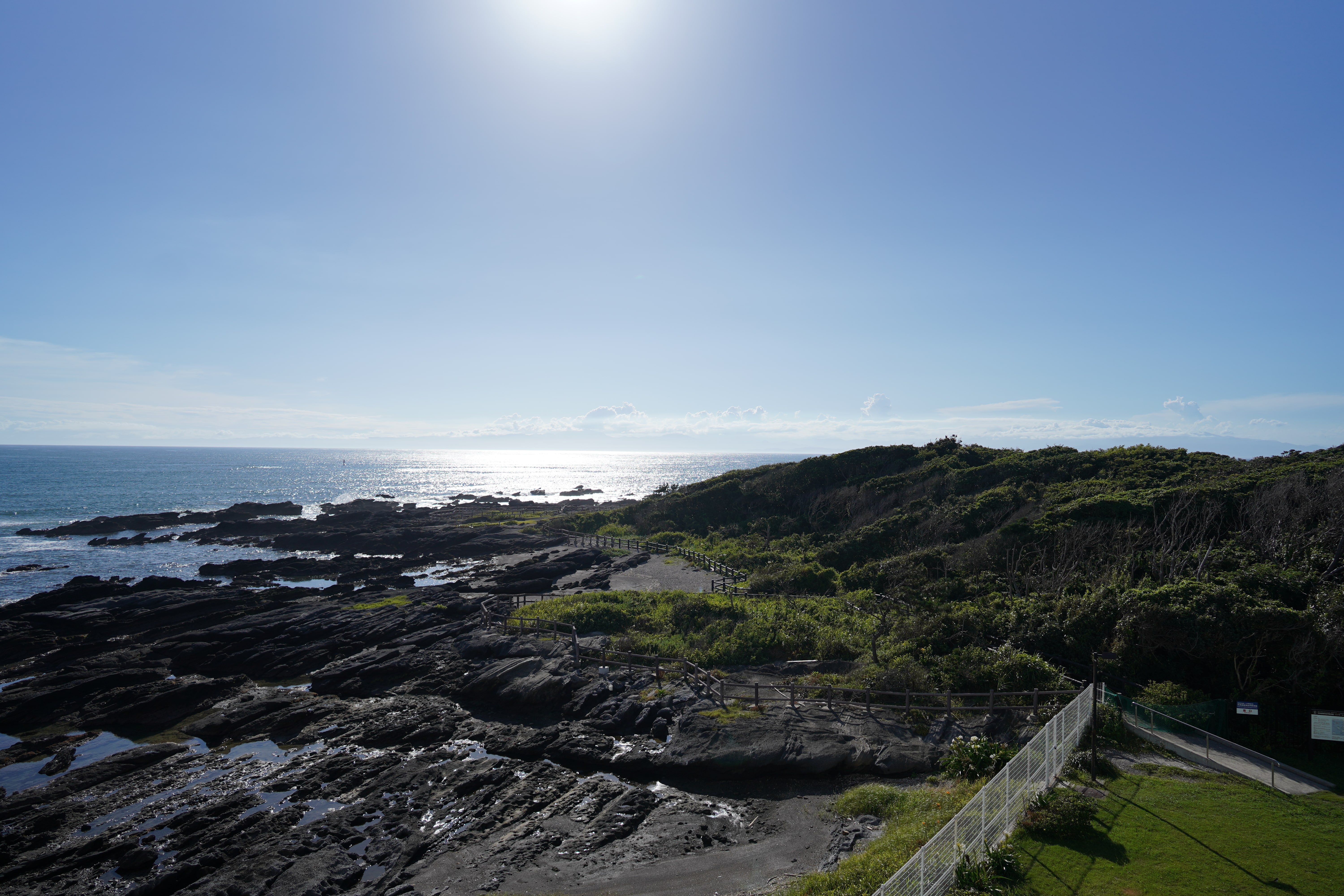 FE 24mm F1.4 GM SEL24F14GM