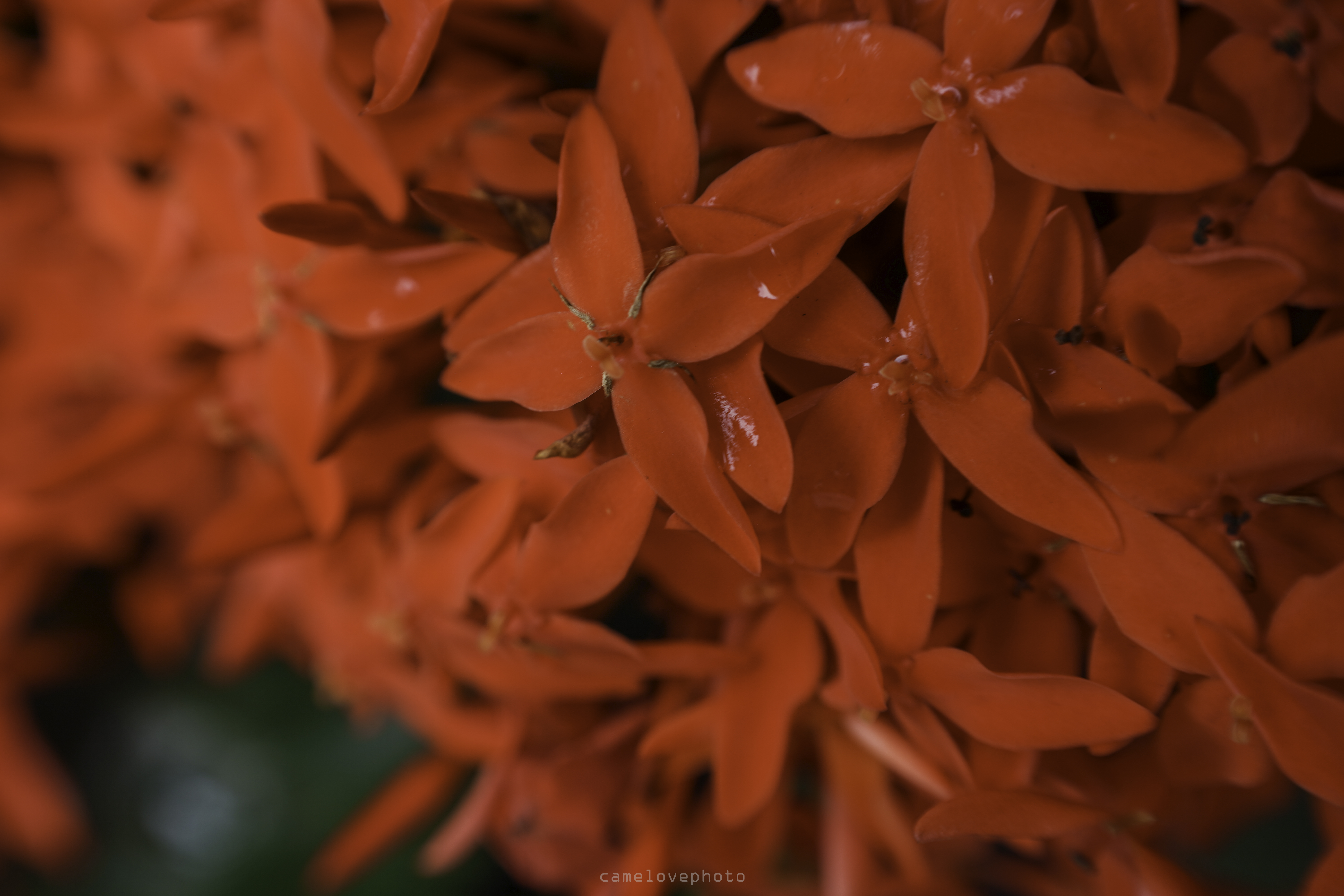 70-180mm F/2.8 Di III VXD (Model A056)