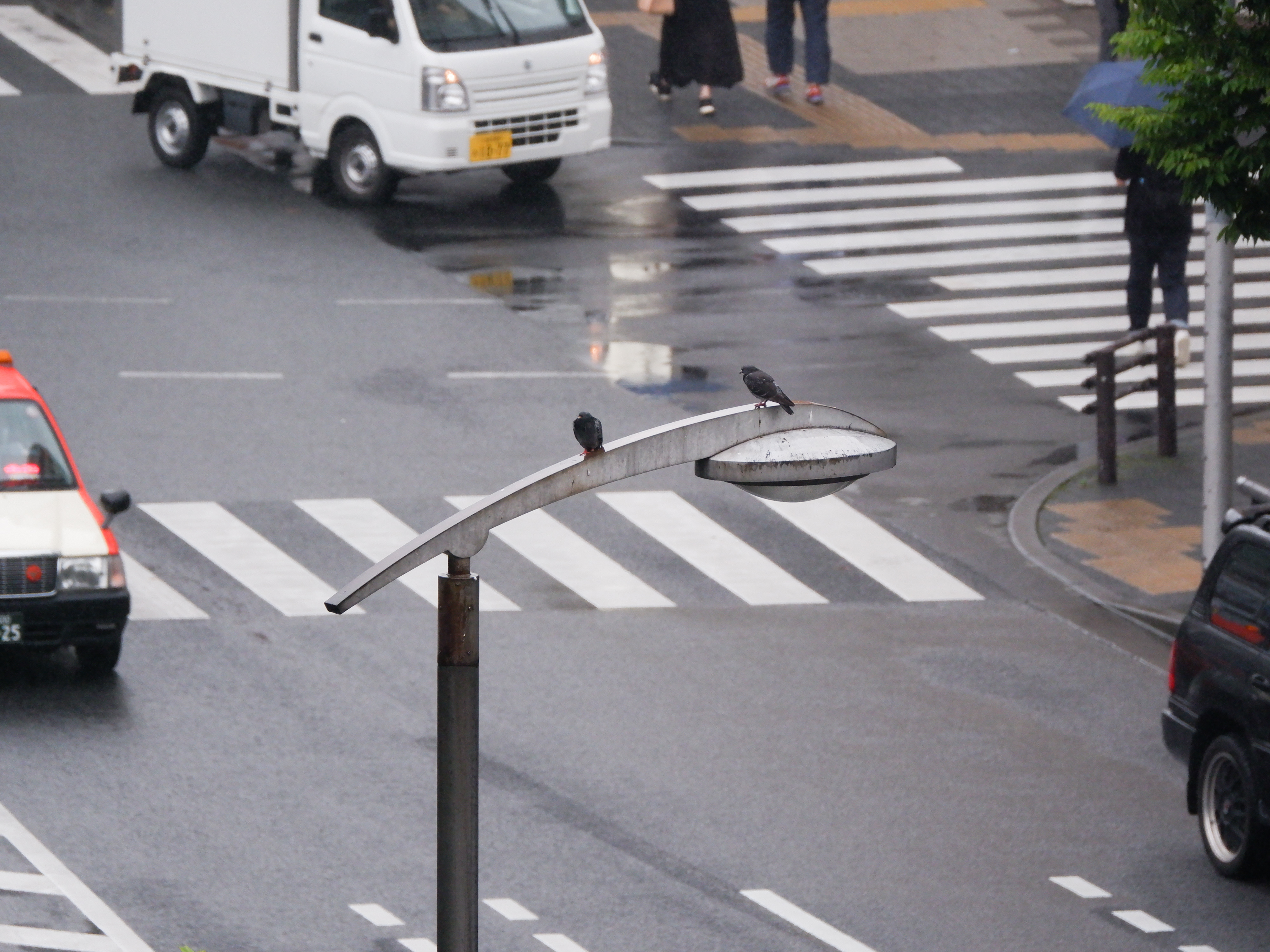 フジノンレンズ XF100-400mmF4.5-5.6 R LM OIS WR