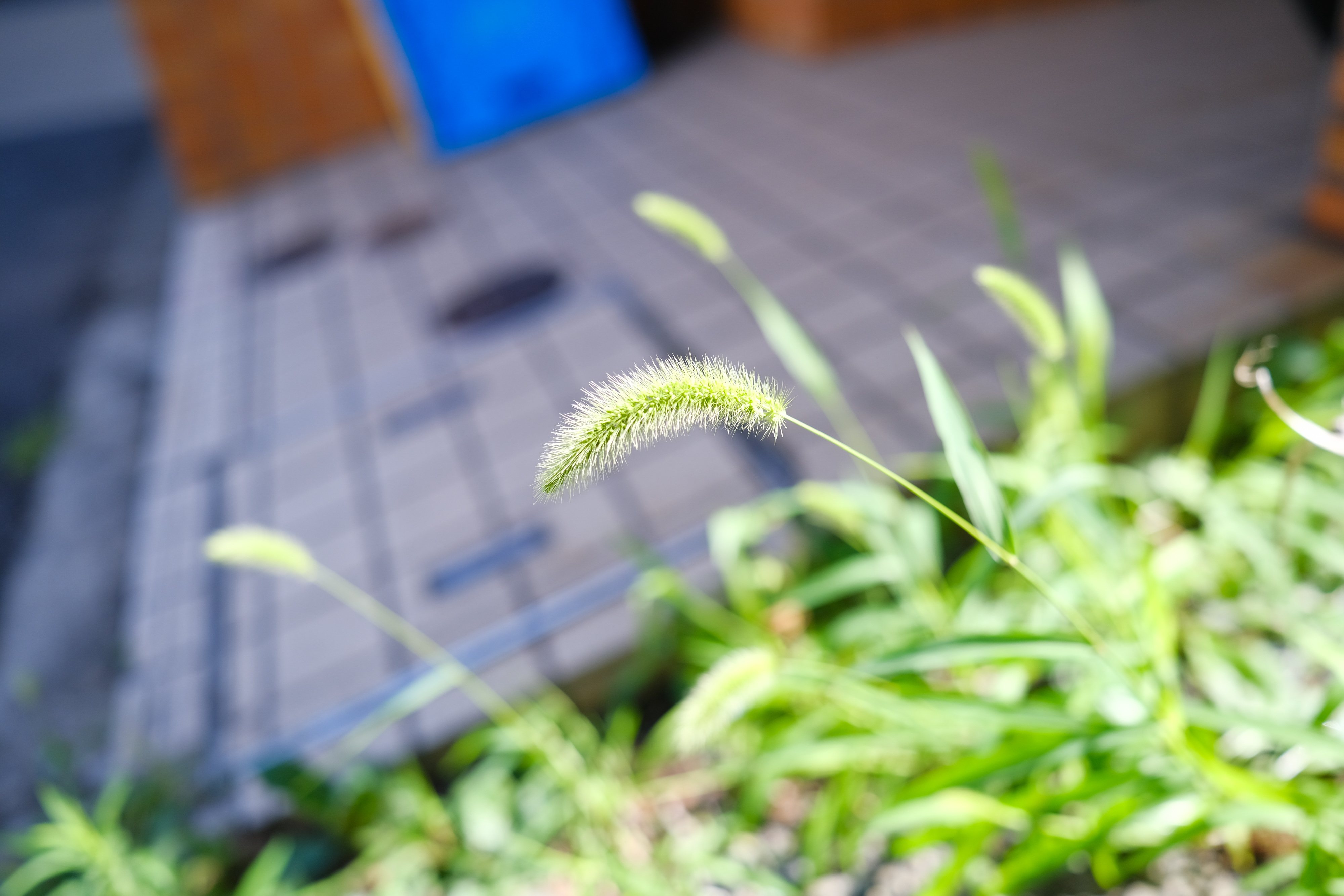 フジノンレンズ XF18mmF1.4 R LM WR