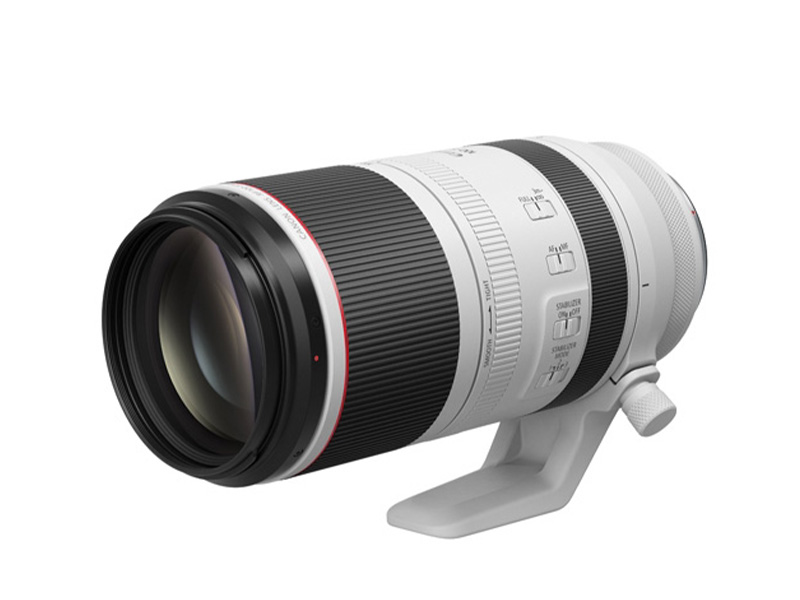 RF100-500mm F4.5-7.1 L IS USM