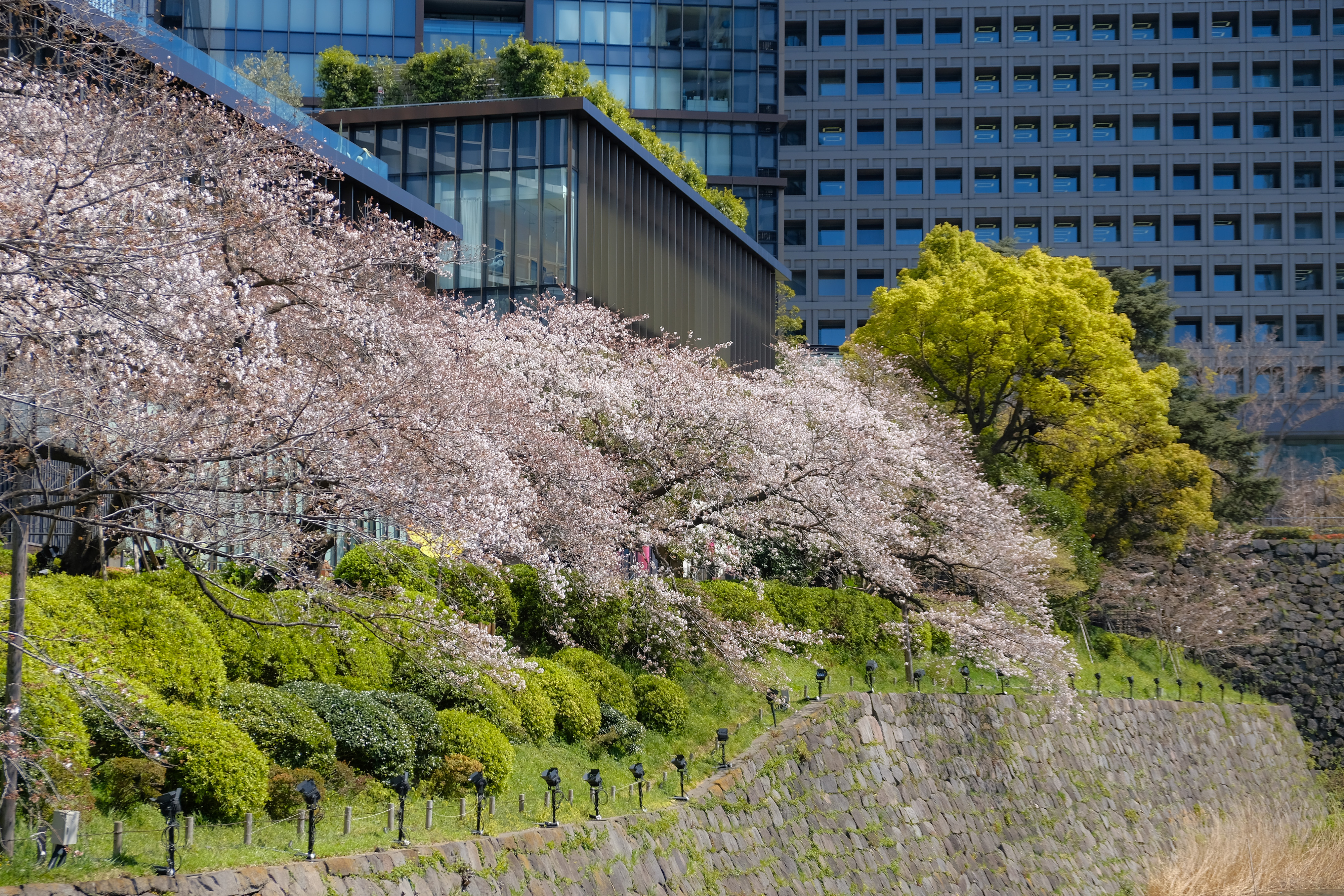 フジノンレンズ XF18-55mmF2.8-4 R LM OIS