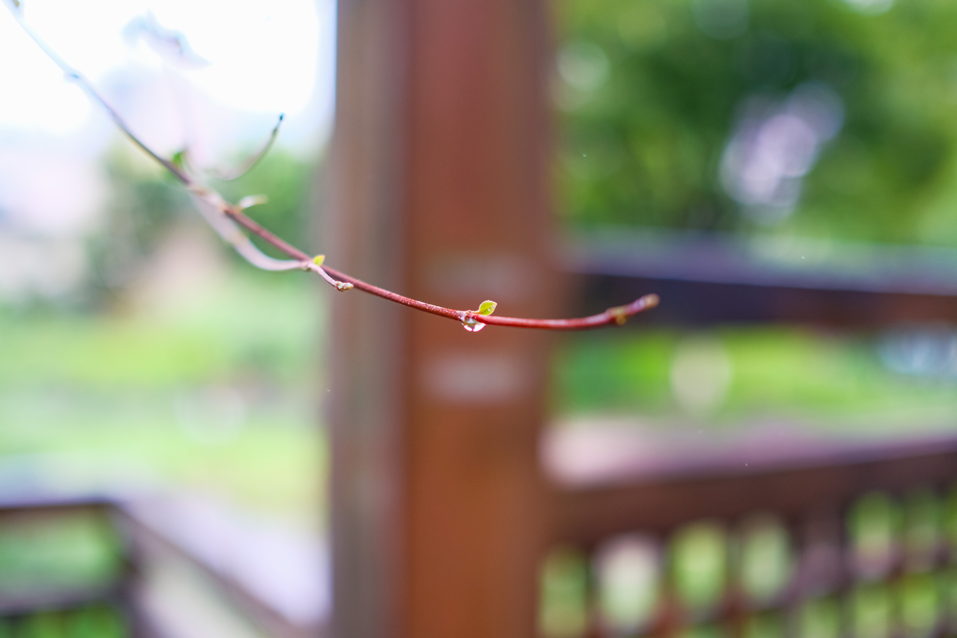 フジノンレンズ XF23mmF1.4 R