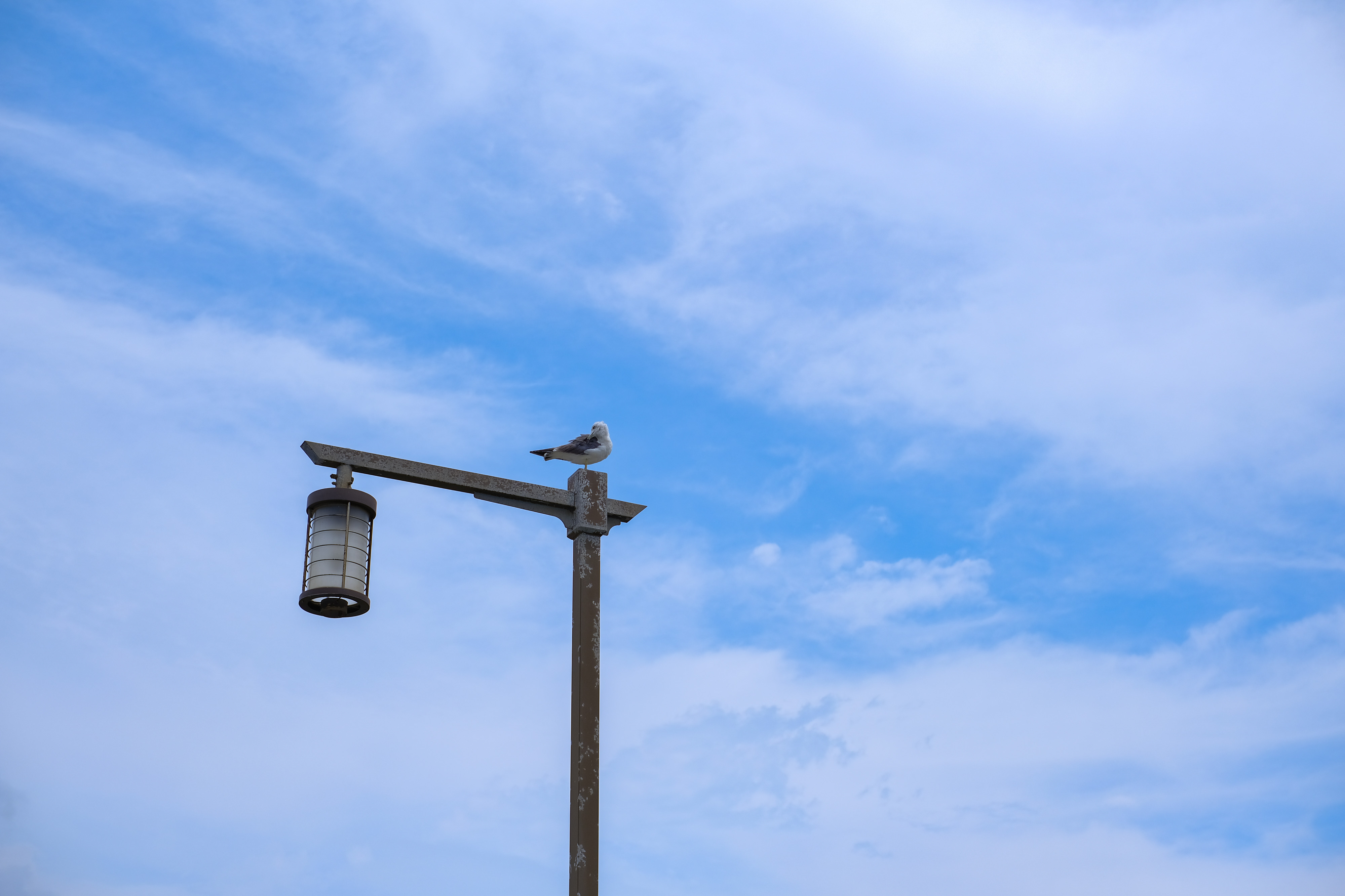 フジノンレンズ XF35mmF1.4 R