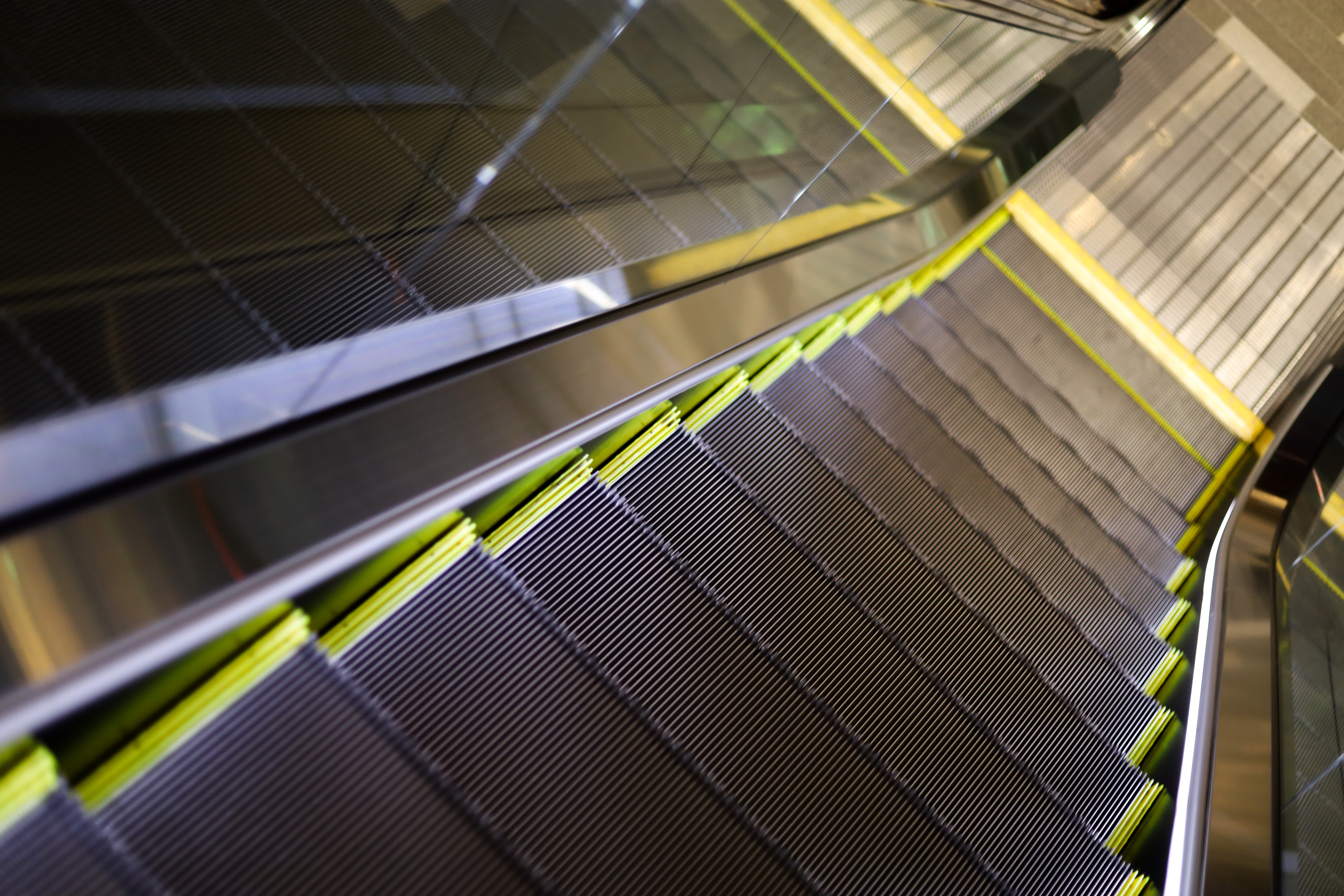 Canon EOS RP レンズ2本＆マウントアダプターセット EOS RP RF35 MACRO IS STM マウントアダプターキット + EF50mm F1.8 STM