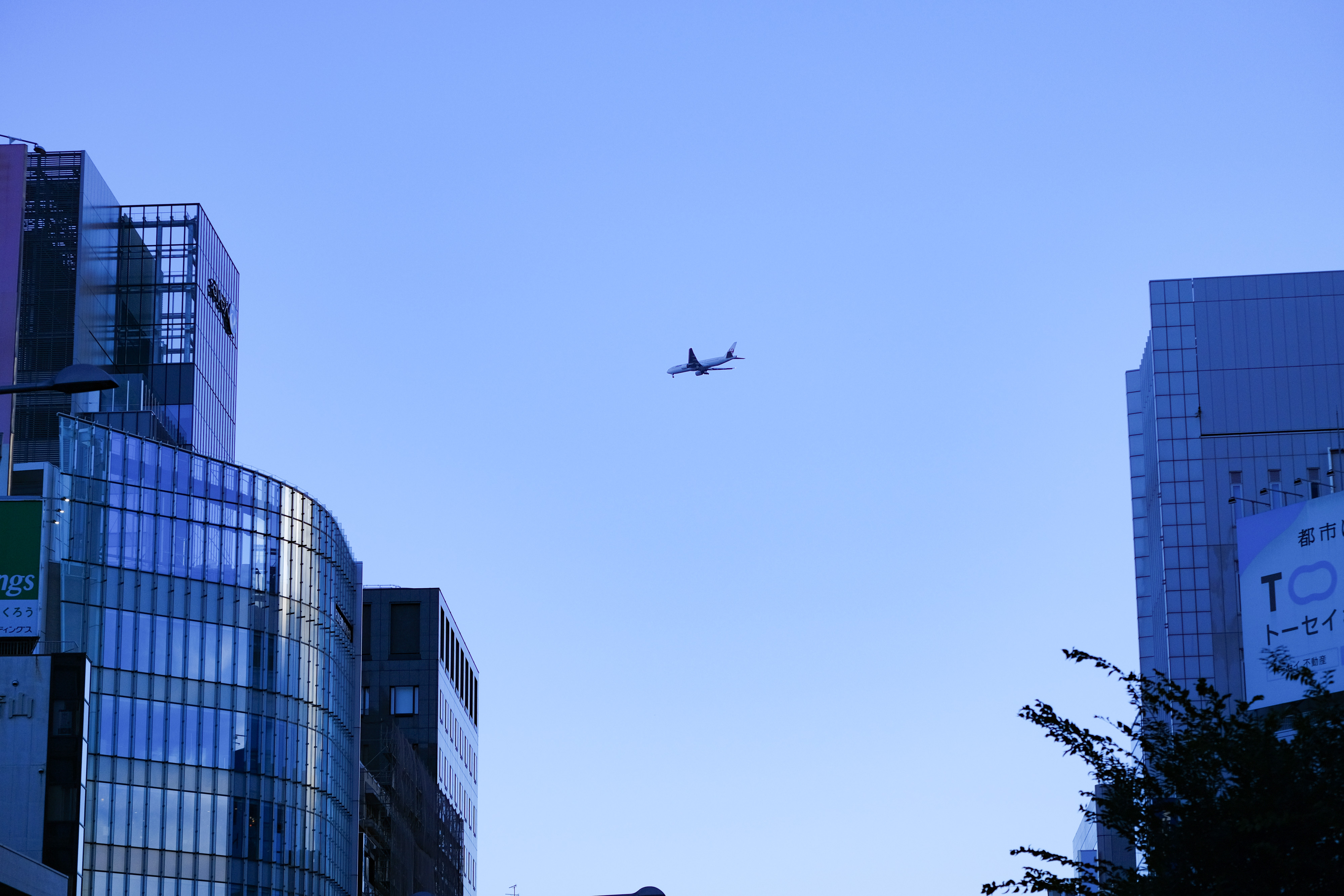 フジノンレンズ XF55-200mmF3.5-4.8 R LM OIS