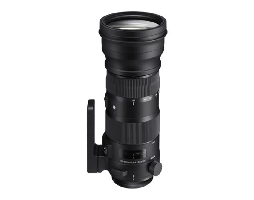 150-600mm F5-6.3 DG OS HSM Sports [ニコン用]