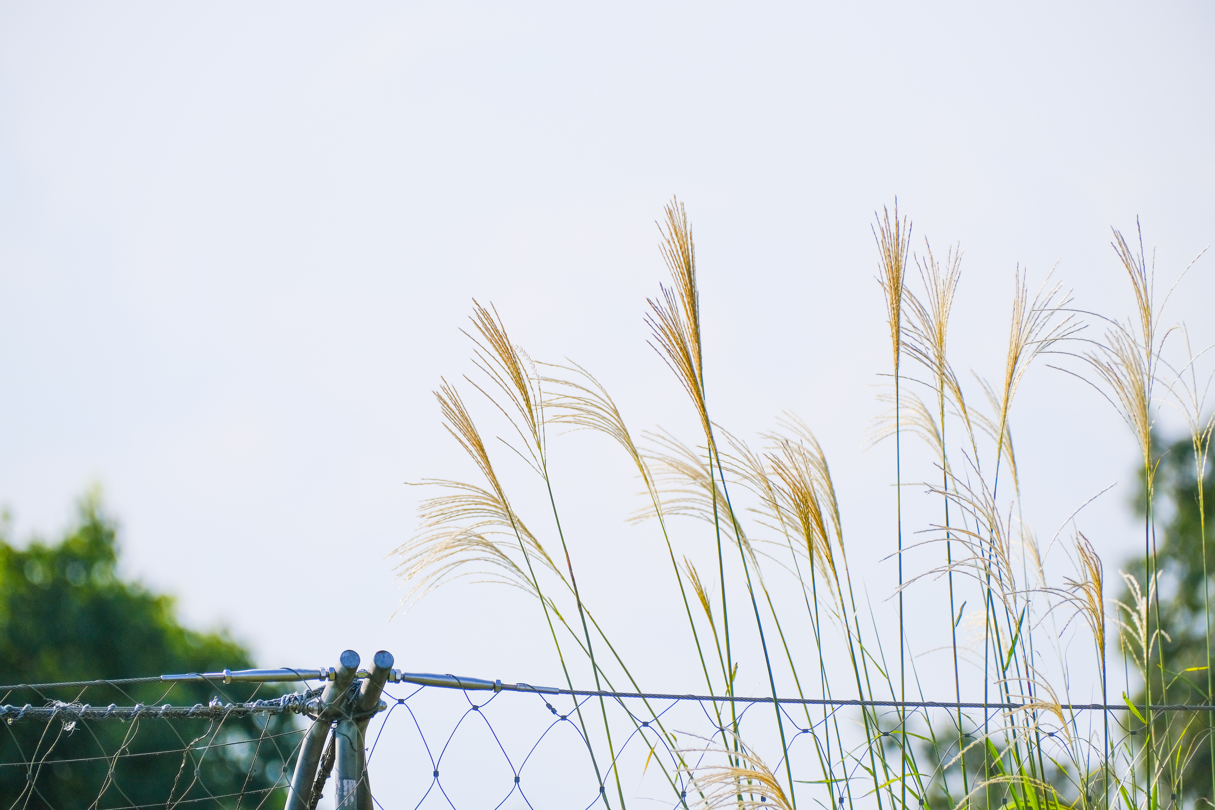 フジノンレンズ XF70-300mmF4-5.6 R LM OIS WR