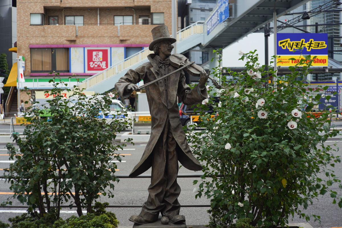 Leica Summicron 50mm F2 (沈胴)