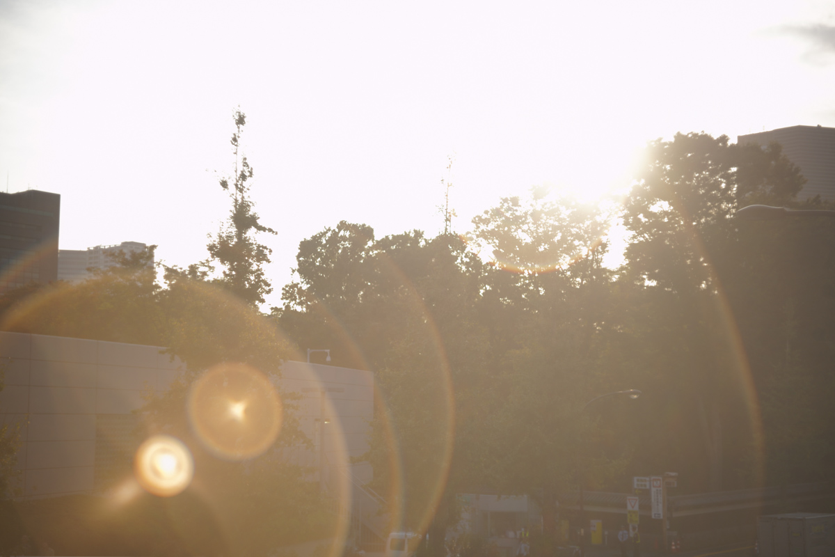 Leica Summar 50mm F2(クローム 沈胴)