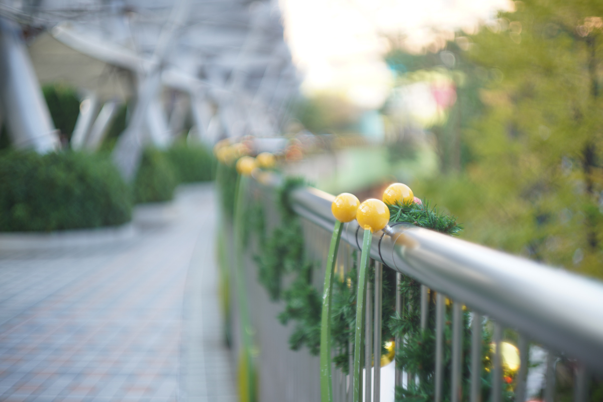 Leica Summarit 50mm F1.5 (前期)